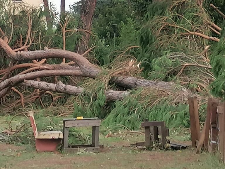 Il Parco è (anche) mio, e lo ricostruisco io
